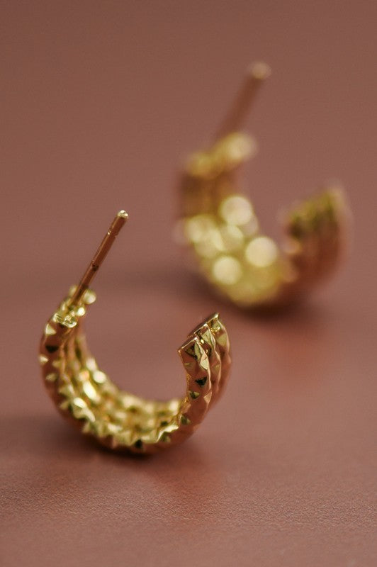 Hoop Earrings