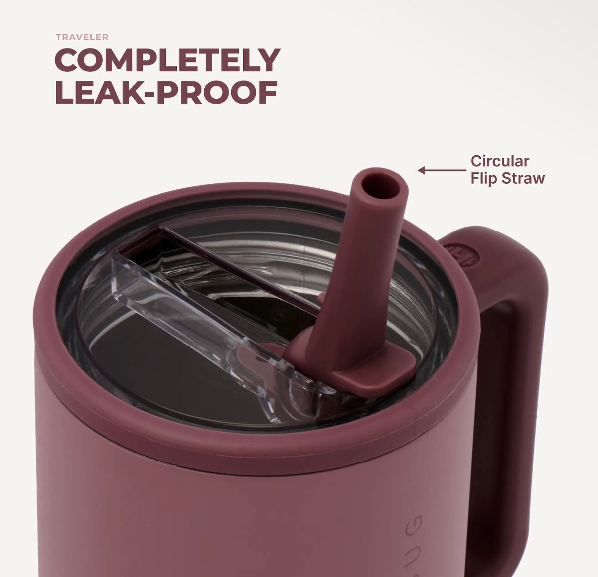 Canyon Rose HydroJug